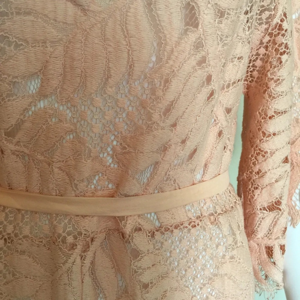 ALEXIS Intermix *Keven* pink embroidered lace maxi dress kaftan S *RARE* - Picture 3 of 4